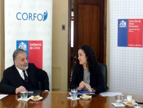 Alianza CORFO-Dirección de Obras Portuarias del MOP busca recuperar histórico Muelle Enacar de Lota