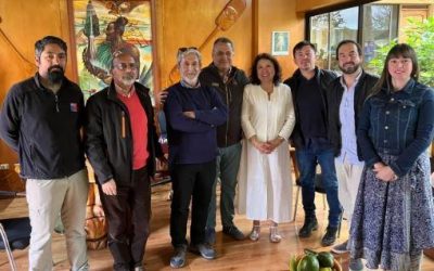 Delegación de la DOP se reunió con autoridades locales en Rapa Nui