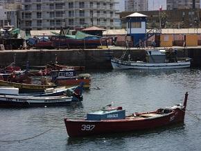 Directora de Obras Portuarias se reunió con Director de SERNAPESCA por avance de nueva Ley de caletas pesqueras