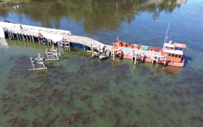 Conservación del embarcadero de Puerto Domínguez alcanza un 84% de avance y refuerza conectividad con Isla Huapi